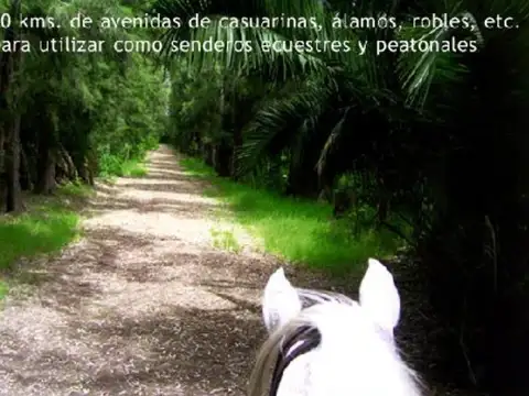 Terreno en Venta en Estancia Benquerencia Farm Club, USD 99.000