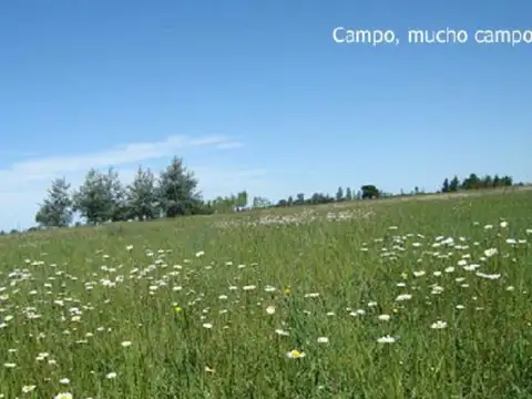 Terreno en  Venta en Estancia la Benquerencia Farm Club, Monte, Pcia. Bs. As