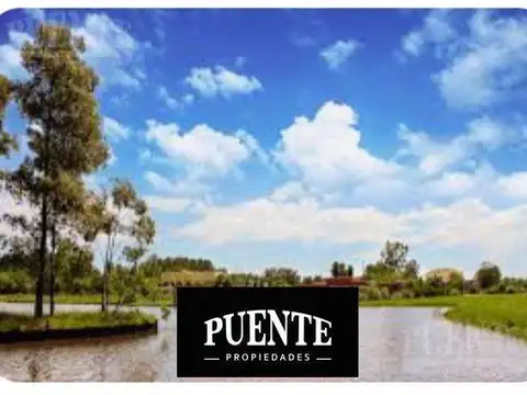 Terreno - Fincas de San Vicente Laguna  -  Lote con Fondo al Lago -
