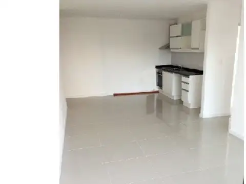 Zorilla de San Martin 100