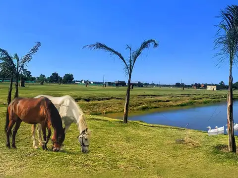 C. Sierra Grande 500