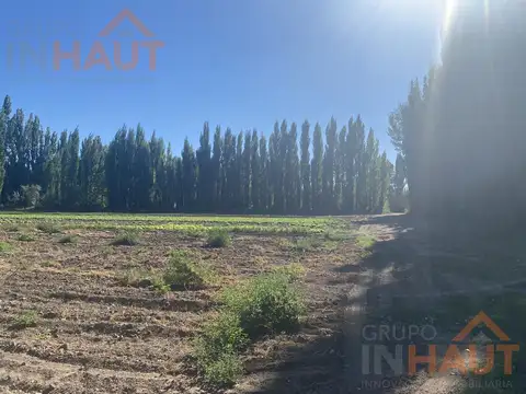 Chacra Frente Ruta 7 - VISTA ALEGRE