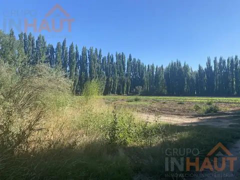Chacra Frente Ruta 7 - VISTA ALEGRE