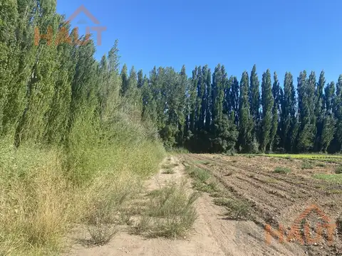 Chacra Frente Ruta 7 - VISTA ALEGRE
