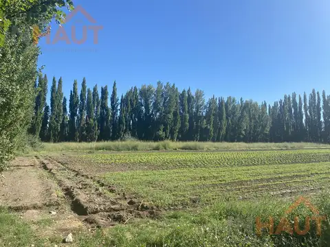Campo en Venta en Vista Alegre Sur, Confluencia