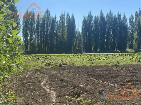 Chacra Frente Ruta 7 - VISTA ALEGRE