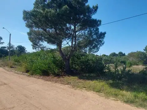TERRENO LIMPIO Y CON CALLE EN VENTA EN PUNTA RUBIA