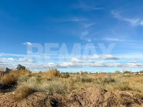 Santa Cruz