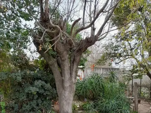 Terreno en Venta en Coronel Brandsen, USD 35.000