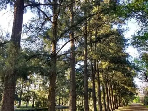 Terreno en Venta de 1000,0 m2