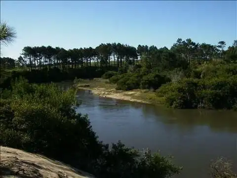 Lote | La Trinquetilla 949