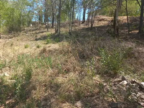 Ruta 38 100