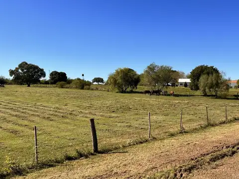 Terreno en Venta de 22500,0 m2