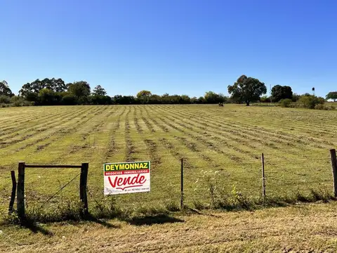 Terreno 2,25 Has zona Termas San José Entre Ríos