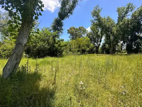 Terreno en Venta de 1000,0 m2