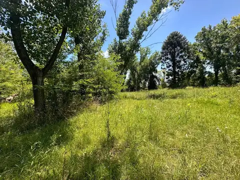 Terreno en Venta en Los Pinos, USD 29.800