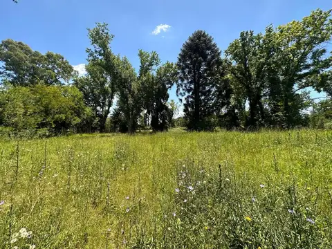 TERRENO EN VENTA LOS PINOS