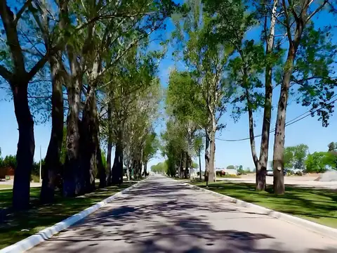 Terreno en Venta de 1169,0 m2