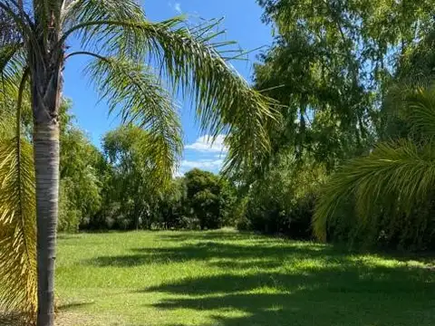 Campo Grande Lote 200