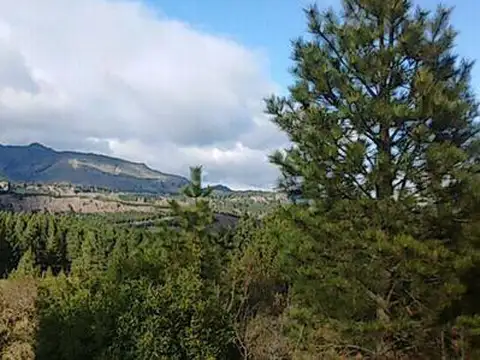 Lote en Quela, San Martin de Los Andes