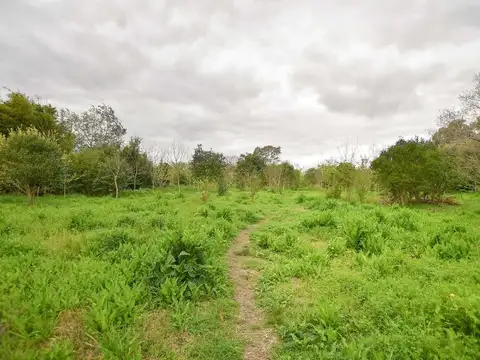 Terreno en Venta en Jose Hernandez, USD 27.500