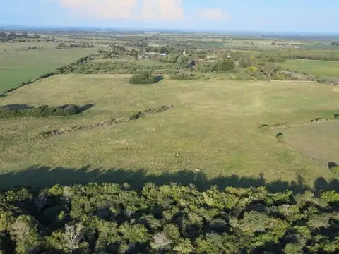 Campo de 15 has en Gdor Febre -  sobre ruta 26