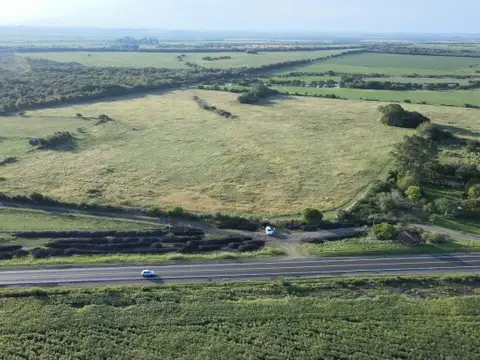 Campo de 15 has en Gdor Febre -  sobre ruta 26