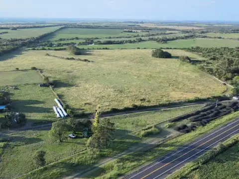 Ruta 26 15