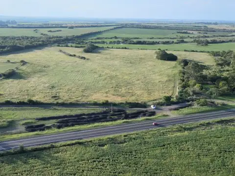 Campo de 15 has en Gdor Febre -  sobre ruta 26