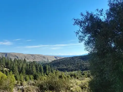 El Maitenal