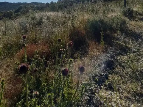 Terreno en Esquel