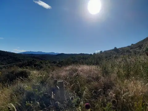 El Maitenal