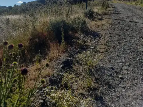 Terreno en Venta de 787,0 m2