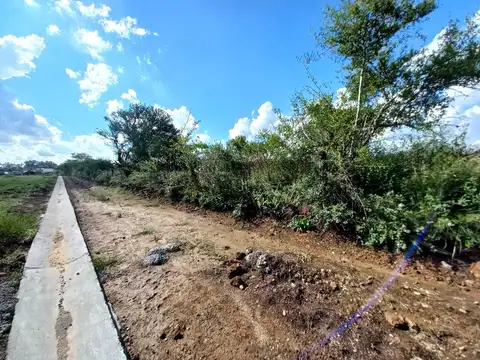 Campo 5 ha. apto Desarrollo Urbano