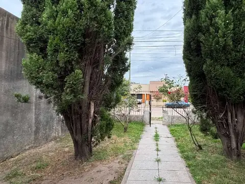 Juan Manuel de Rosas 100