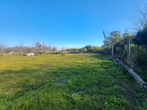 Los Algarrobos 100