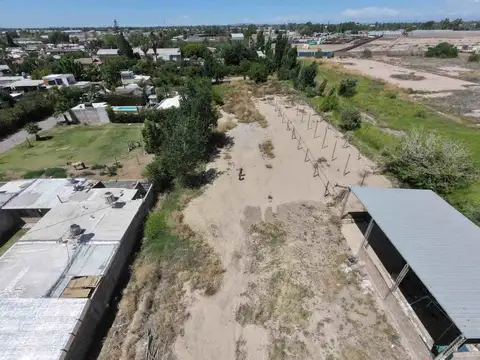 Elpidio Gonzalez 7300