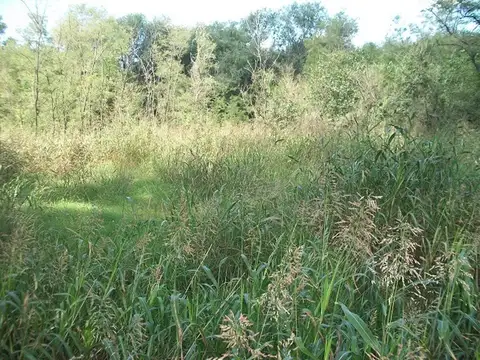 Terreno en Venta en Villa Anisacate, USD 110.000