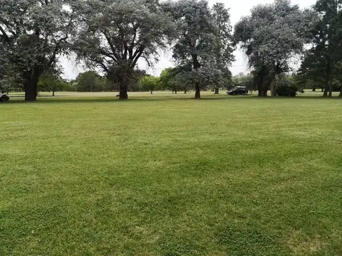 Terreno en Venta 45  mts Fondo