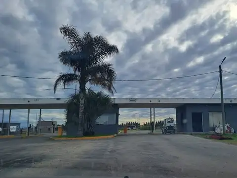 VENTA LOTE | TIEMPOS DE CANNING - AERIS