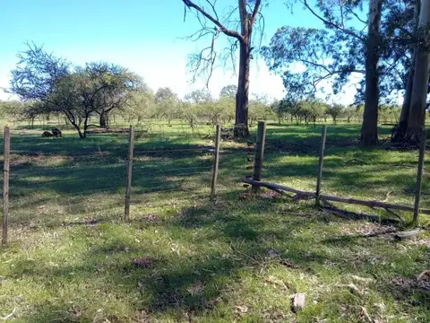 Islas Lima, Zarate 56h