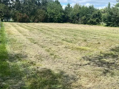 LOTE EN HARAS DEL SUR 1