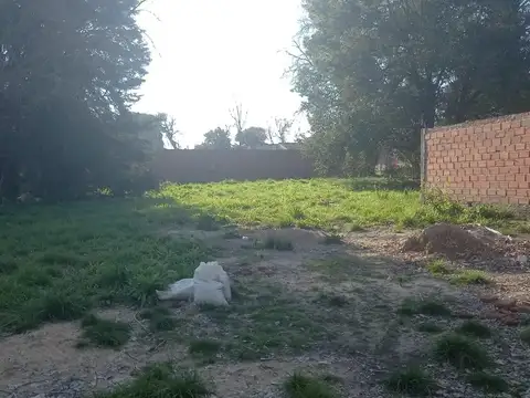 Gran Alameda