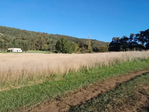 Terreno en Venta en Balcarce, USD 43.900