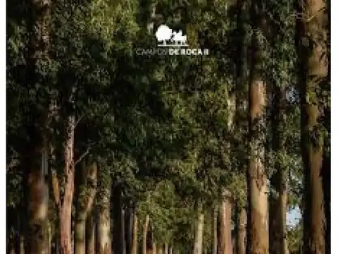 VENTA DE LOTES CAMPOS DE ROCA II