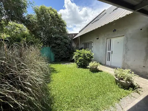 Pergamino 100