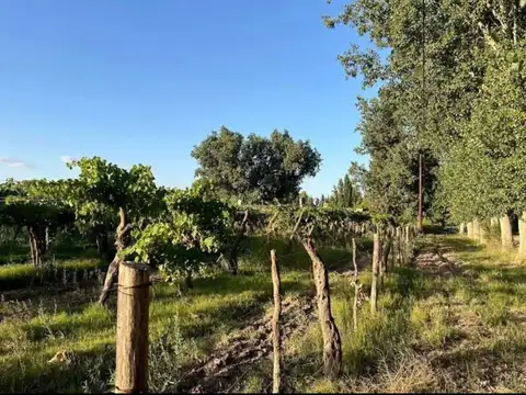 Ruta Provincial 50