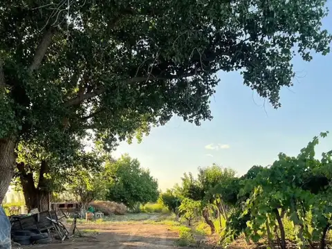 VENTA DE FINCA EN SAN MARTIN ALTO VERDE 12 HA.