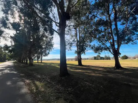 Terreno en Venta de 1000,0 m2