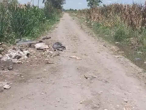 Terreno en Venta 25  mts Fondo